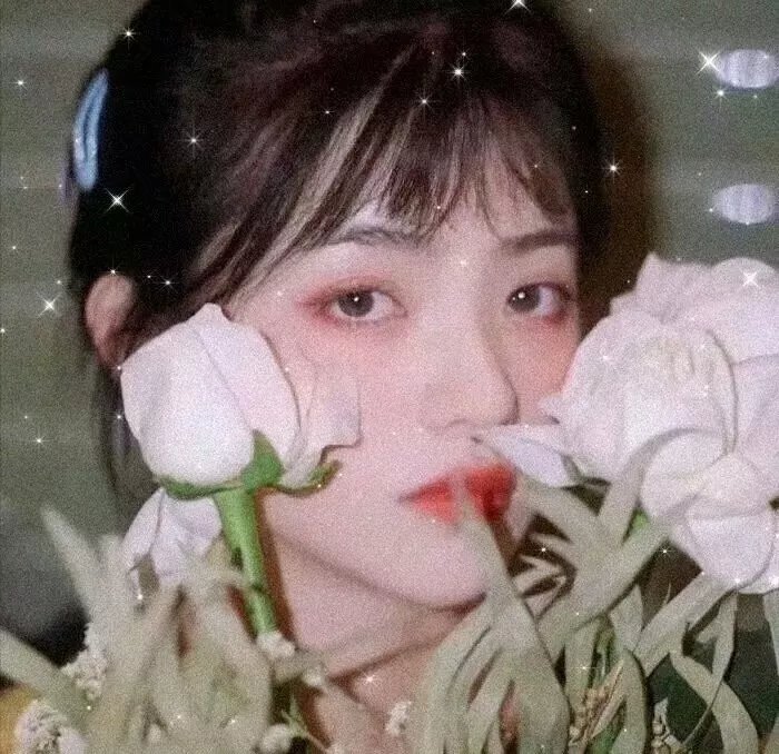 九里香